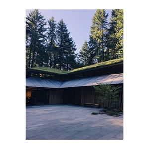 午夜国产无码在线观看
