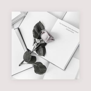 午夜国产无码在线观看
